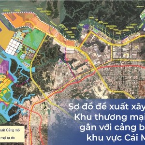 FTZ gắn với cảng biển khu vực Cái Mép Hạ, tổng diện tích quy hoạch khoảng 4.174,35 ha, được chia thành 8 phân khu chức năng. Ảnh: UBND TP Hồ Chí Minh.