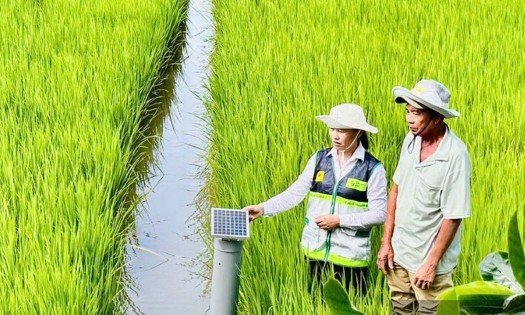 Khuyến nông cần khẳng định vai trò là
