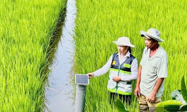 Khuyến nông cần chuyển từ hỗ trợ kỹ thuật sang đồng hành cùng chuỗi giá trị