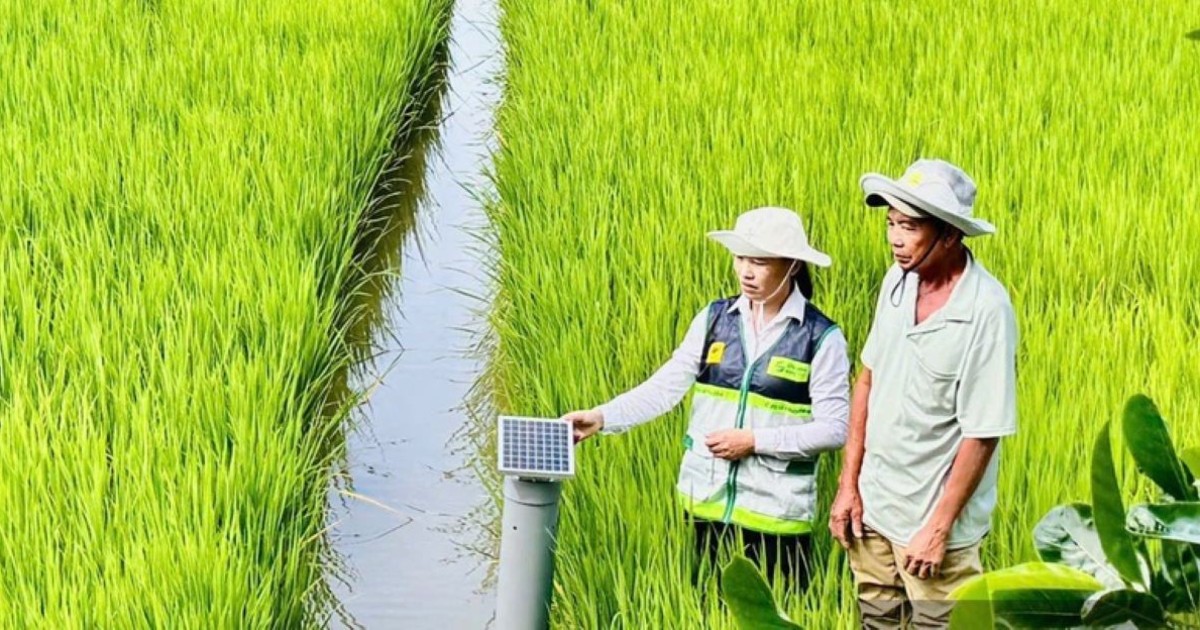 Khuyến nông cần chuyển từ hỗ trợ kỹ thuật sang đồng hành cùng chuỗi giá trị
