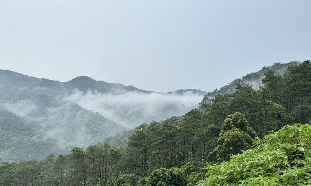 Điều kiện để doanh nghiệp tham gia thị trường carbon toàn cầu