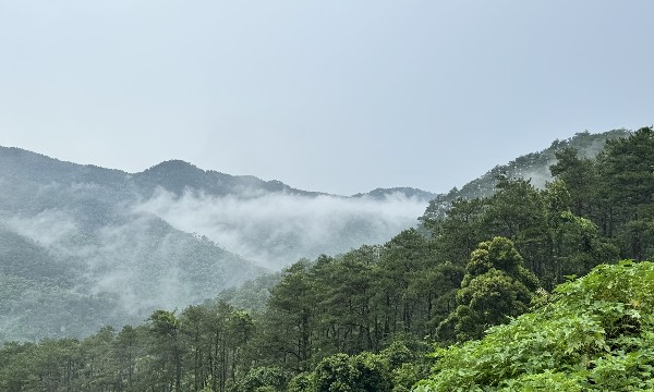 Điều kiện để doanh nghiệp tham gia thị trường carbon toàn cầu