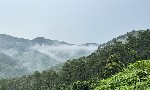 Điều kiện để doanh nghiệp tham gia thị trường carbon toàn cầu