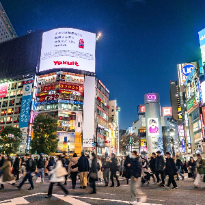 Ảnh: Tourist Japan
