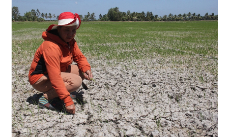Hai kịch bản rủi ro và tác động do El Niño 2026-2027 tại Việt Nam