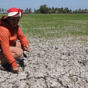 Với kịch bản rủi ro rất cao, nếu El Niño kéo dài sang thời kỳ chuyển mùa, mùa mưa năm 2027 có nguy cơ bắt đầu muộn hơn trung bình nhiều năm, làm kéo dài thời gian thiếu nước và chậm phục hồi nguồn nước. Nguy cơ hạn hán, thiếu nước và xâm nhập mặn được đánh giá ở mức rất cao. Ảnh: Huy Phong
