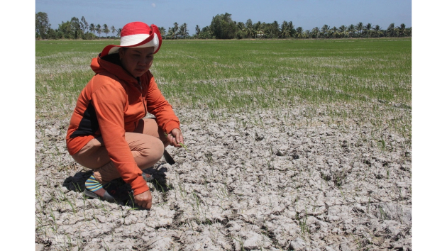 Two El Niño risk scenarios projected for Vietnam in 2026-2027