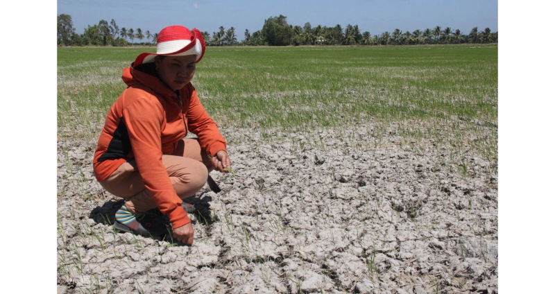 Two El Niño risk scenarios projected for Vietnam in 2026-2027