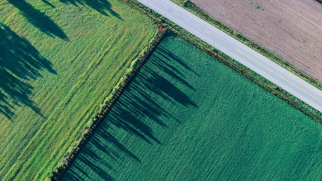 Land value assessment