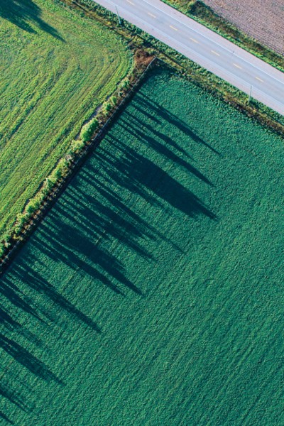 Land value assessment