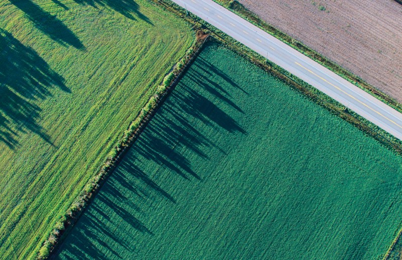 Land value assessment