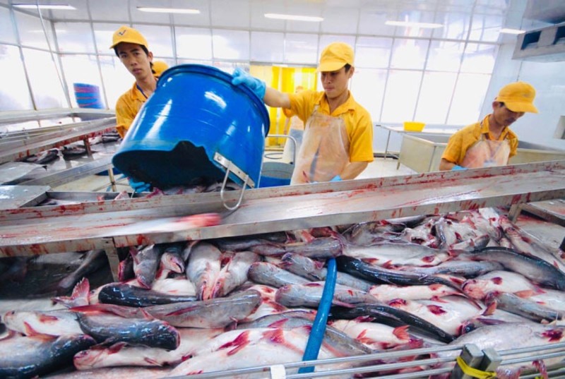 Vietnam’s pangasius exports reach $1.1bln in first half