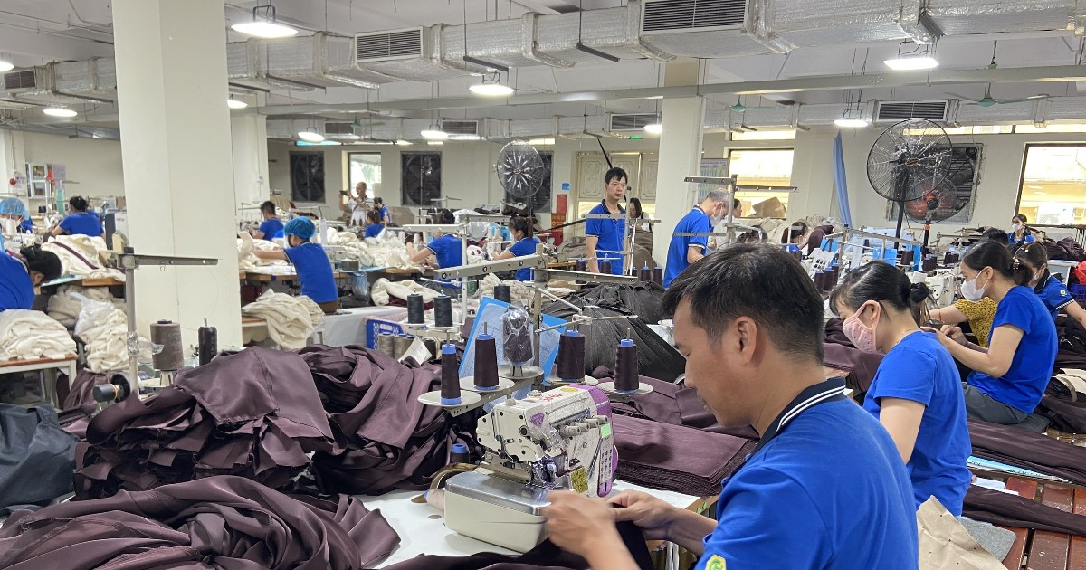 Xuất khẩu Việt Nam sang Hà Lan cần vượt 'rào cản xanh'