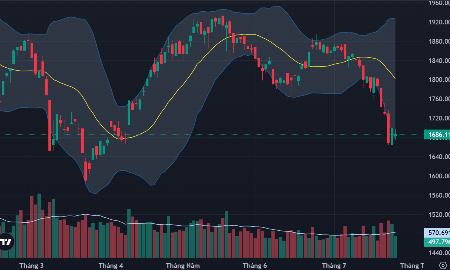 VN-Index vẫn đang dò đáy.