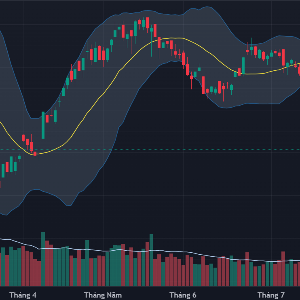 VN-Index vẫn đang dò đáy.