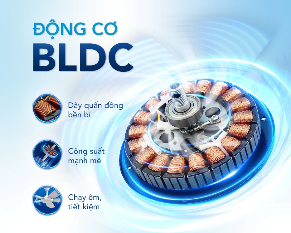 Quạt trần Hòa Phát có bốn model dùng động cơ BLDC không chổi than. Ảnh: Hòa Phát.