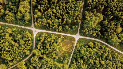 Powering green growth