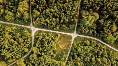 Powering green growth