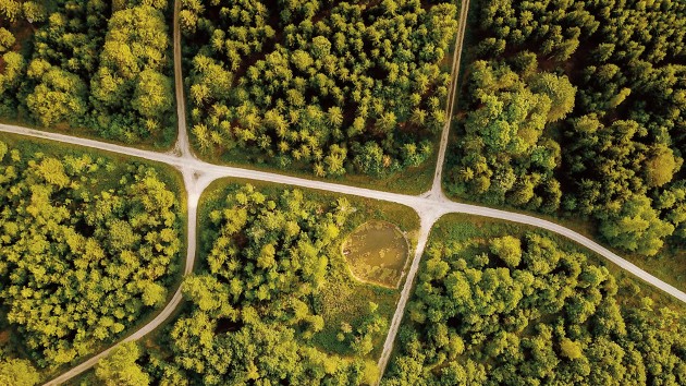 Powering green growth