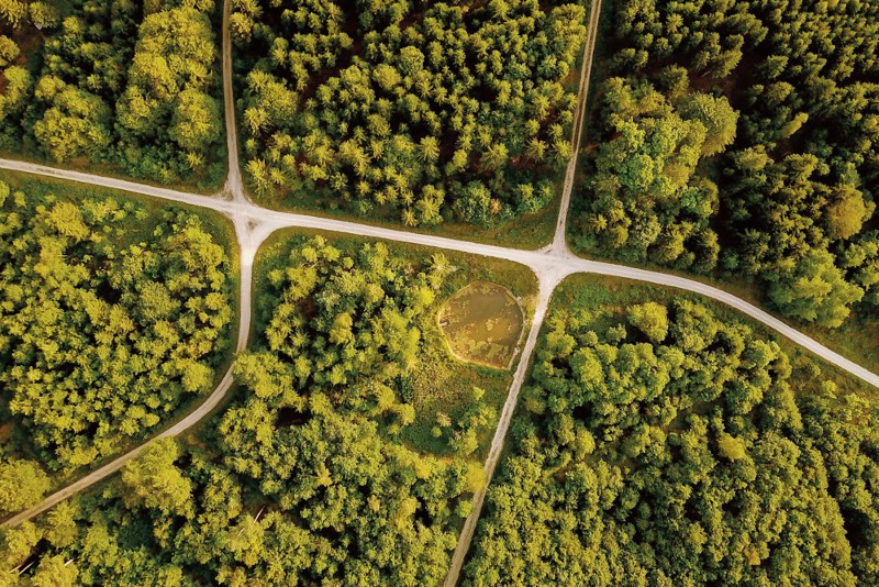 Powering green growth