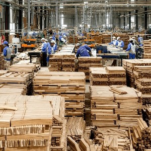 Ngành gỗ đặt mục tiêu đạt kim ngạch 25 tỷ USD xuất khẩu vào năm 2030. Ảnh: Trung tâm thông tin Công nghiệp và Thương mại.