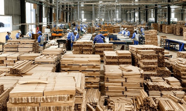 Ngành gỗ cần tấm “hộ chiếu xanh”