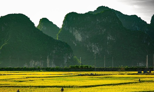 Ảnh: Du lịch cộng đồng Mường Cốc