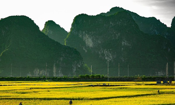 Trải nghiệm xanh: Sức hút mới của du lịch Thủ đô