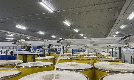 Tăng cường truy xuất nguồn gốc, minh bạch chuỗi cung ứng trước yêu cầu mới của thị trường Hoa Kỳ
