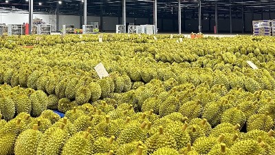 Fruit and vegetable exports surpass $1bln monthly milestone for the first time