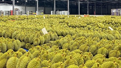 Fruit and vegetable exports surpass $1bln monthly milestone for the first time