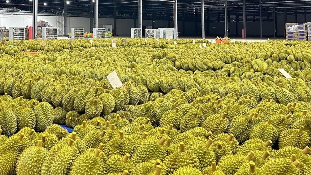 Fruit and vegetable exports surpass $1bln monthly milestone for the first time