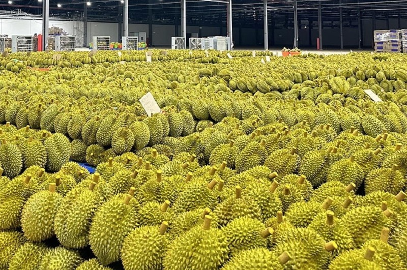 Fruit and vegetable exports surpass $1bln monthly milestone for the first time