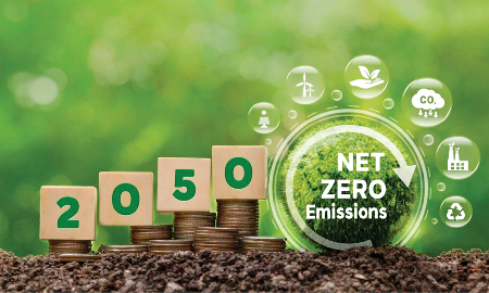 Xây trụ đỡ cho doanh nghiệp hướng tới Net Zero