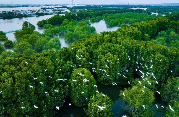 Chương trình điều tra, kiểm kê, quan trắc đa dạng sinh học đến năm 2030 sẽ đồng bộ dữ liệu về hệ sinh thái, hỗ trợ quản lý và bảo tồn hiệu quả. Nguồn: Cebid