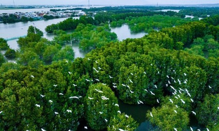 Chương trình điều tra, kiểm kê, quan trắc đa dạng sinh học đến năm 2030 sẽ đồng bộ dữ liệu về hệ sinh thái, hỗ trợ quản lý và bảo tồn hiệu quả. Nguồn: Cebid