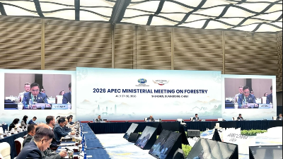Vietnam proposes four key priorities for APEC forestry cooperation