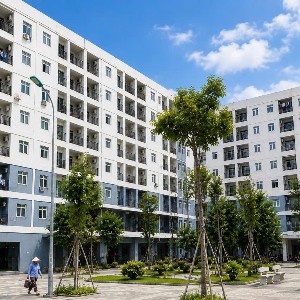 Ảnh minh họa - Ảnh: Hoàng Bách