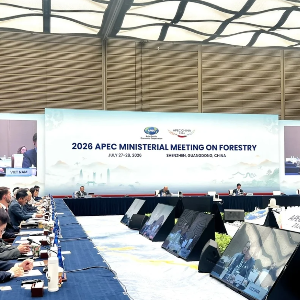 Hội nghị Bộ trưởng APEC về Lâm nghiệp năm 2026 tại Thẩm Quyến (Trung Quốc). Ảnh: Bộ Nông nghiệp và Môi trường.