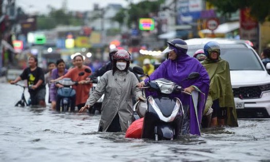 Illustrative photo (Source: Thanh Tung).