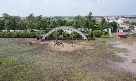 Hải Phòng bãi bỏ nghị quyết “trảm” dự án treo