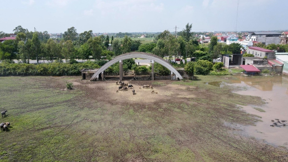 Khu đất 40ha tại phường Dương Kinh bị bỏ hoang nhiều năm đã bị Hải Phòng triển khai thủ tục thu hồi. Ảnh: HH.