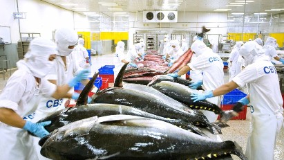 Vietnam's tuna exports rebound strongly in June