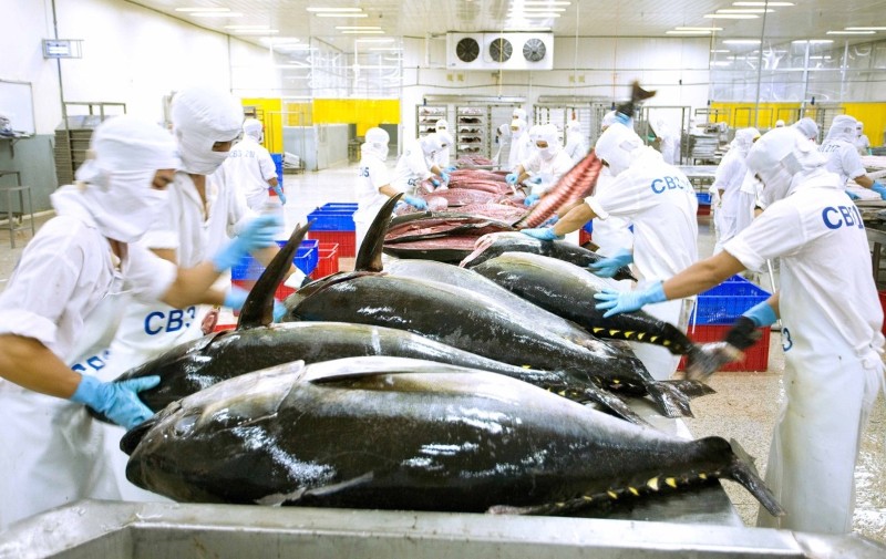 Vietnam's tuna exports rebound strongly in June