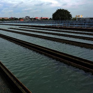Xử lý nước sạch tại bể lọc từ nguồn nước sông Đồng Nai ở Nhà máy xử lý nước Thủ Đức. Ảnh: Trung Dung