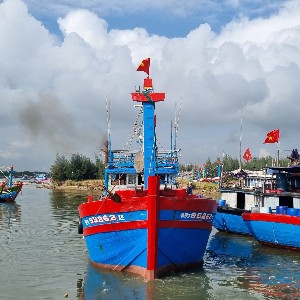 TP.Hồ Chí Minh siết chặt công tác kiểm tra, kiểm soát tàu cá tại các cảng và khu vực xuất, nhập bến. Ảnh: Lưu Hương