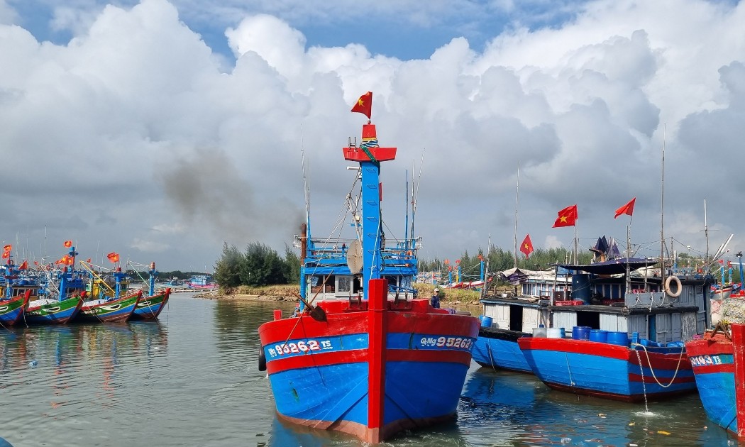 TP.Hồ Chí Minh siết chặt công tác kiểm tra, kiểm soát tàu cá tại các cảng và khu vực xuất, nhập bến. Ảnh: Lưu Hương