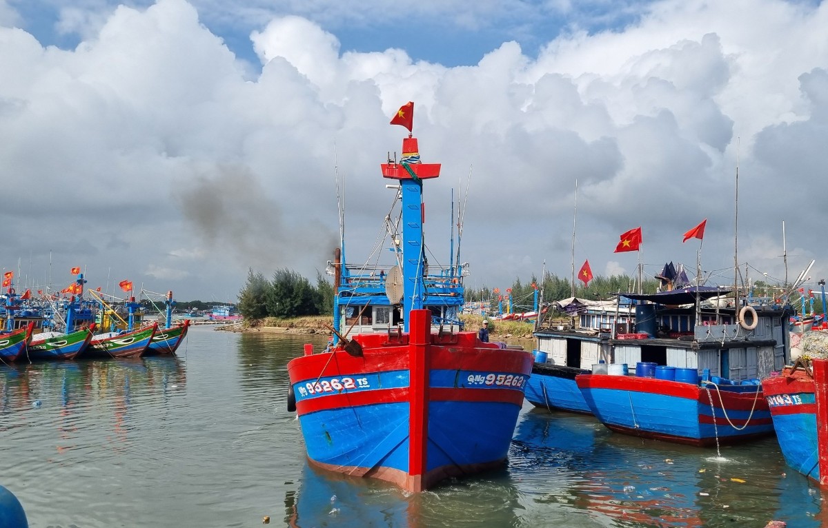 TP.Hồ Chí Minh siết chặt công tác kiểm tra, kiểm soát tàu cá tại các cảng và khu vực xuất, nhập bến. Ảnh: Lưu Hương