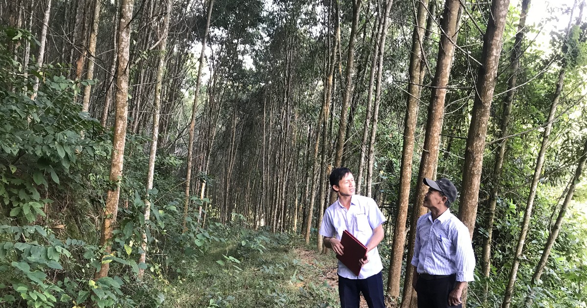 &ldquo;Cơn kh&aacute;t&rdquo; gỗ lớn l&agrave;m kh&oacute; c&aacute;c doanh nghiệp chế biến s&acirc;u