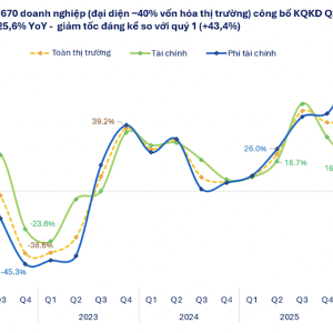 VnEconomy